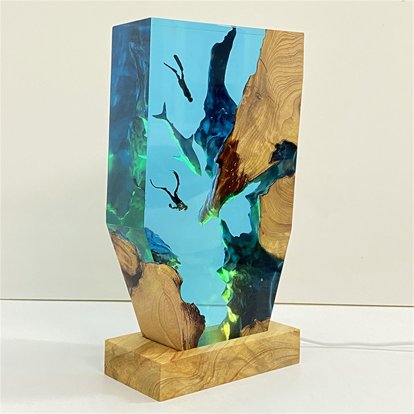 The Shark & Divers Ocean Model