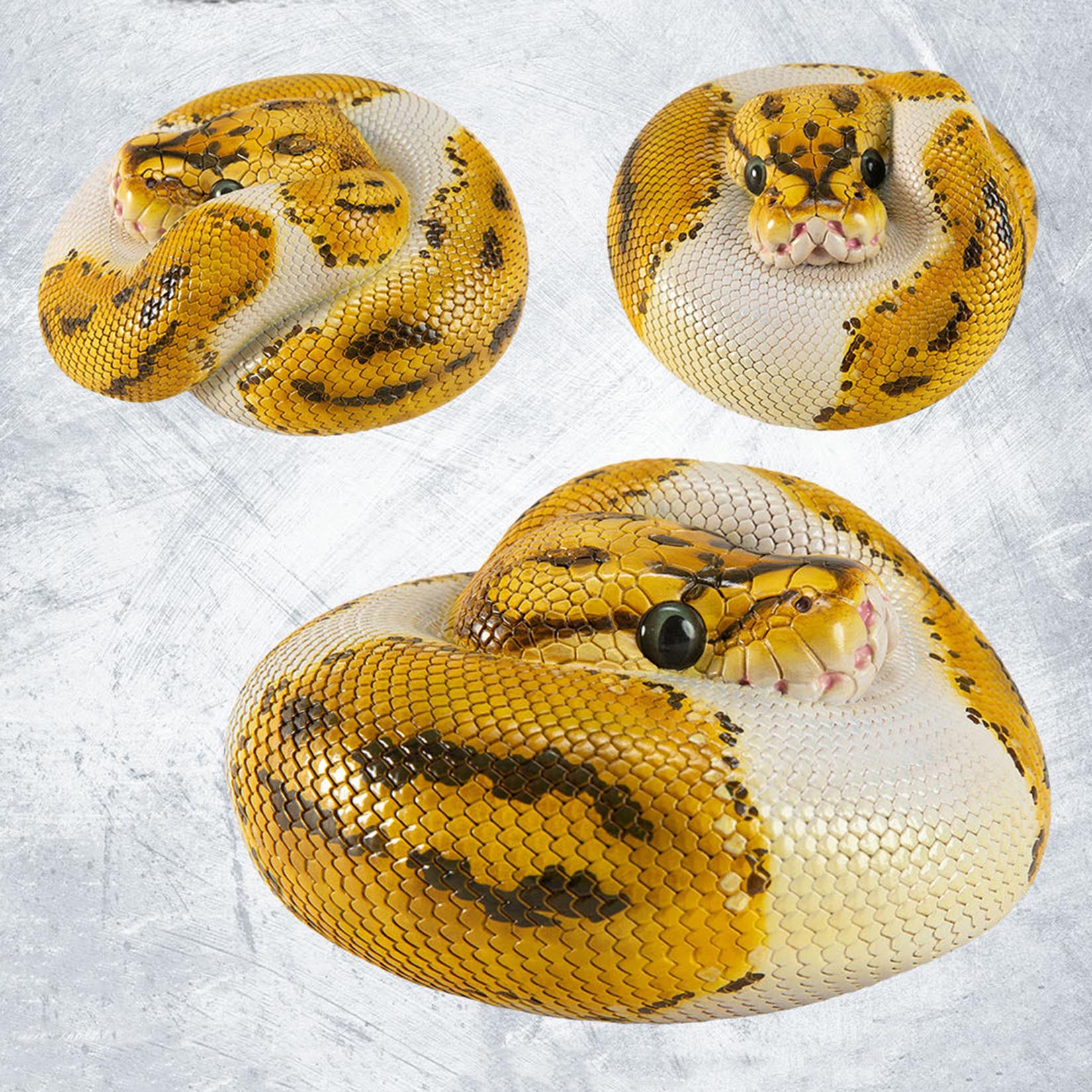 Animal Heavenly Body Plus Ball Python Model