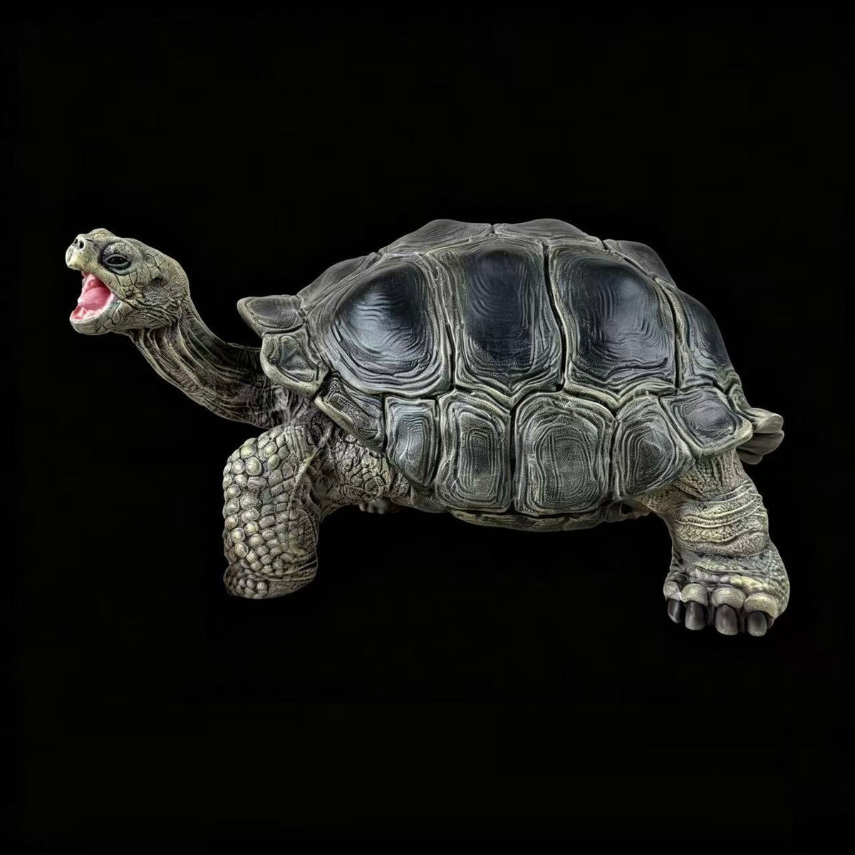BOWUZHI Studio Chelonoidis Galapagoensis Turtle Model