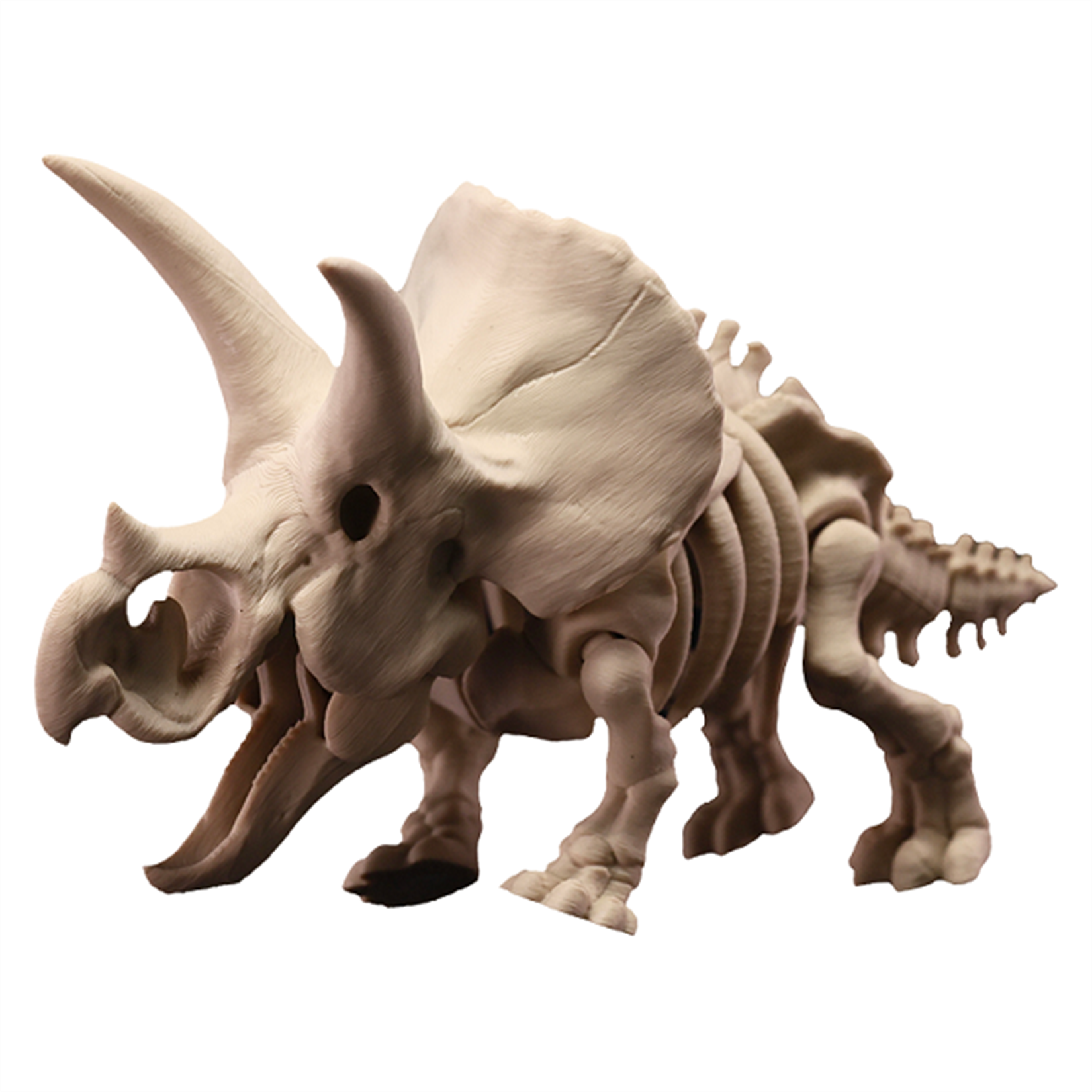 Triceratops Dinosaur Skeleton Figure