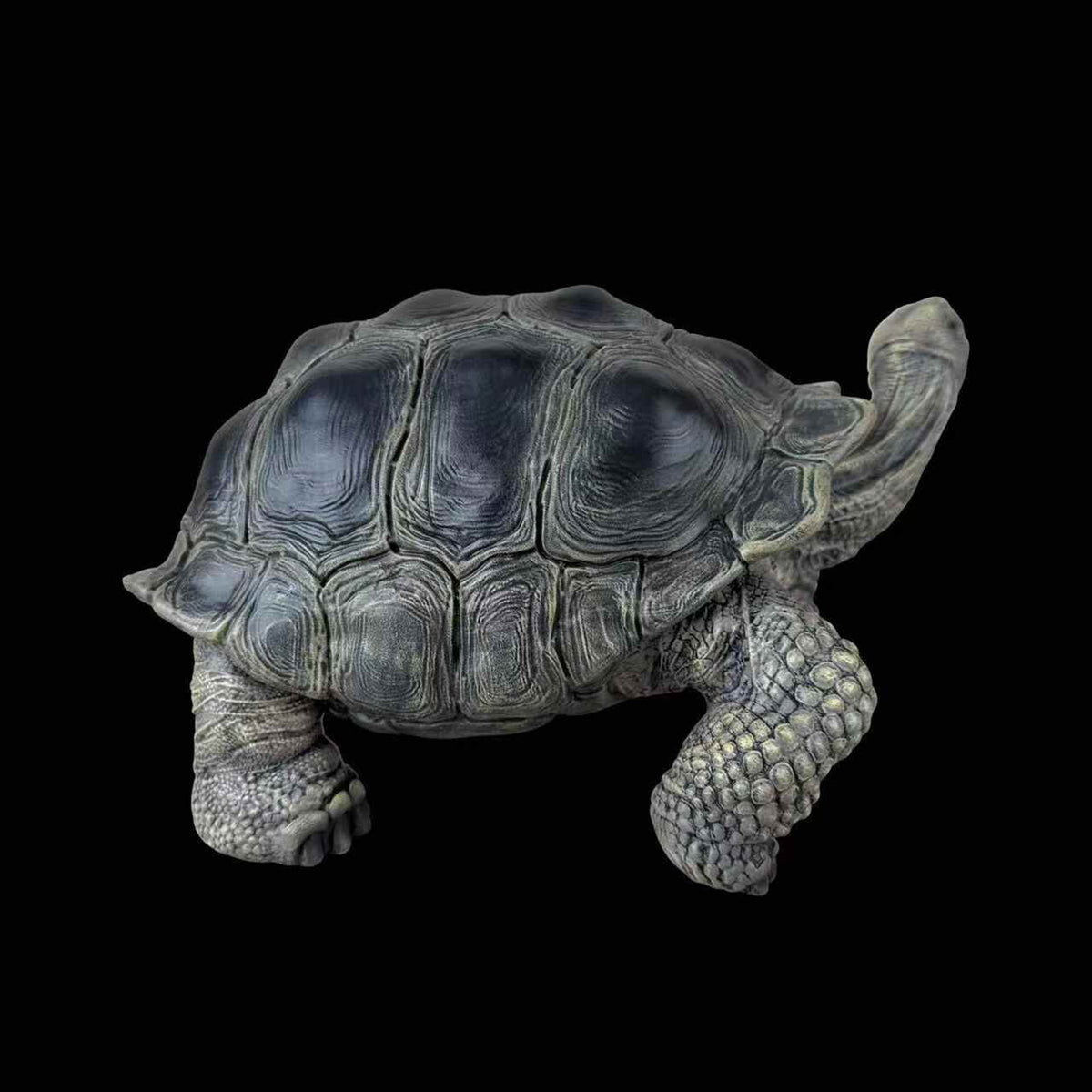 BOWUZHI Studio Chelonoidis Galapagoensis Turtle Model