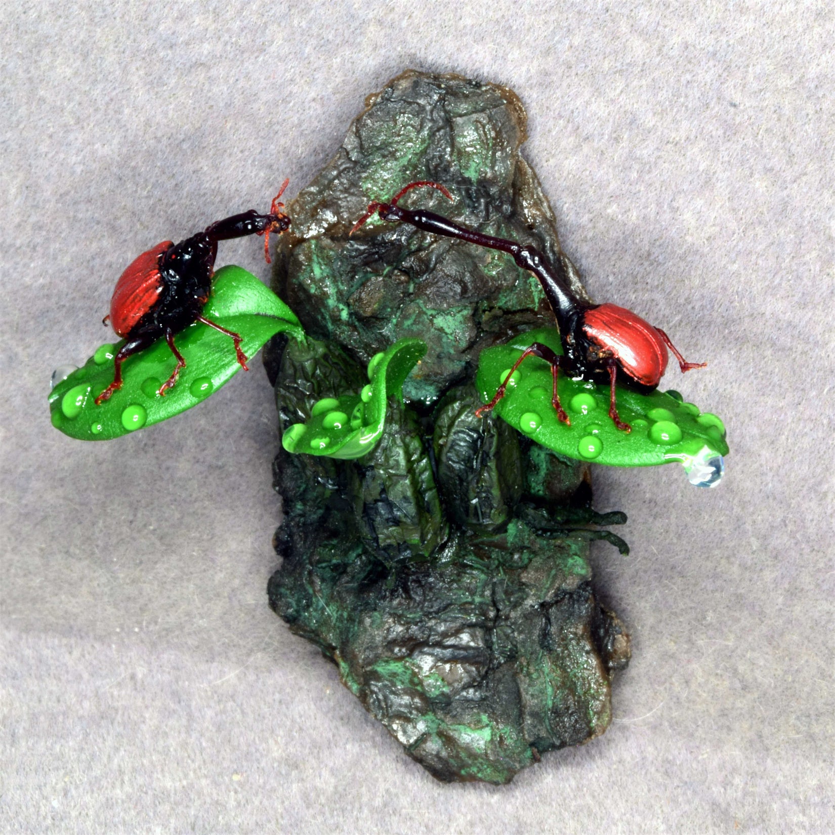 Trachelophorus Giraffa Insect Model