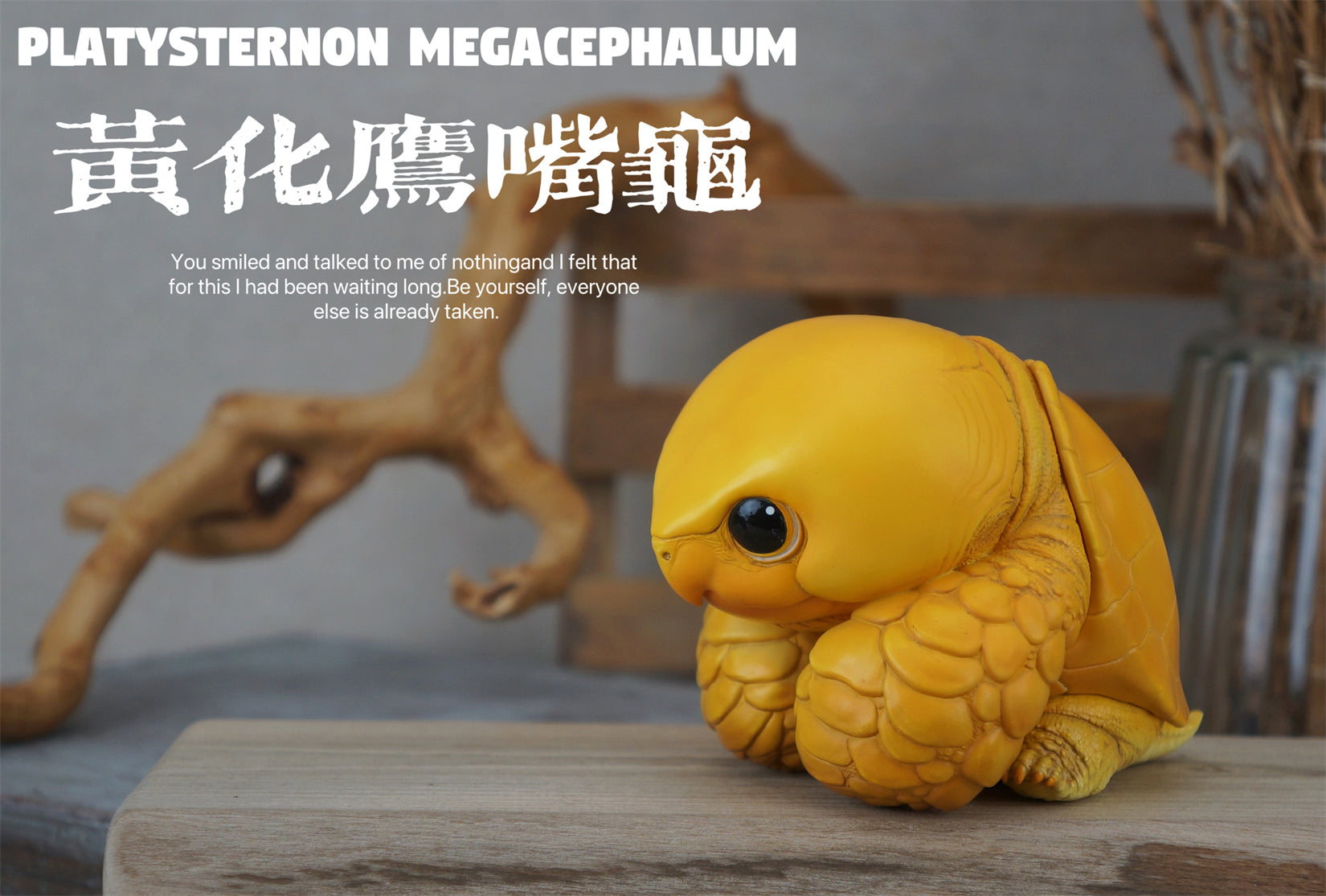 Schildkröten-Serie Tiermodell