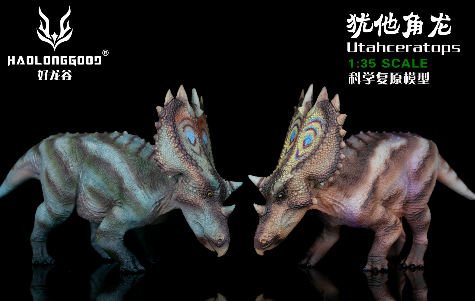HAOLONGGOOD 1:35 Scale Utahceratops Model