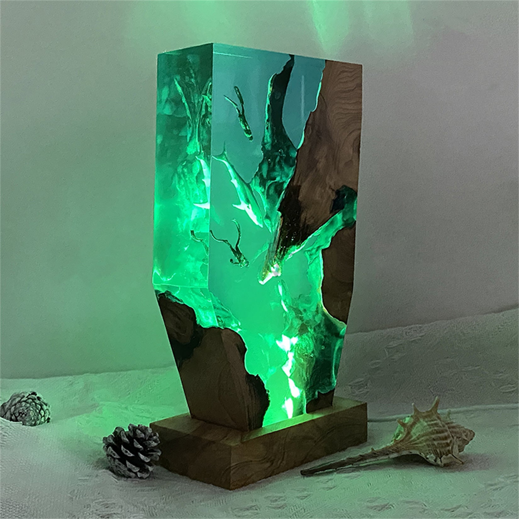 The Shark & Divers Ocean Model