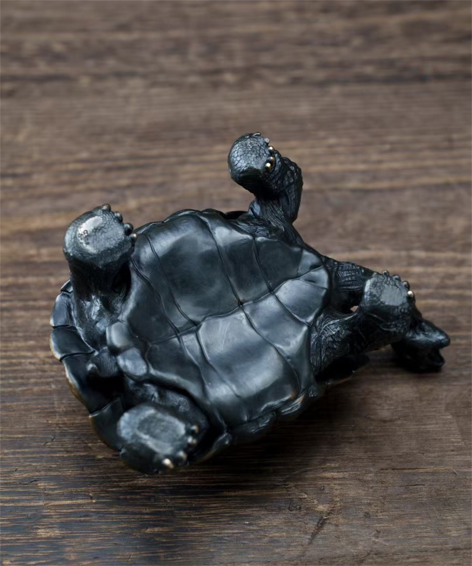 BOWUZHI Studio Chelonoidis Niger Model