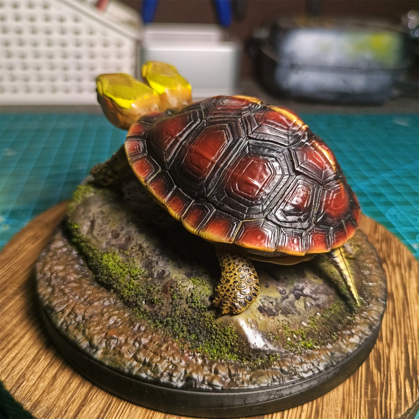 Two-headed Yellow-margined Box Turtle Model