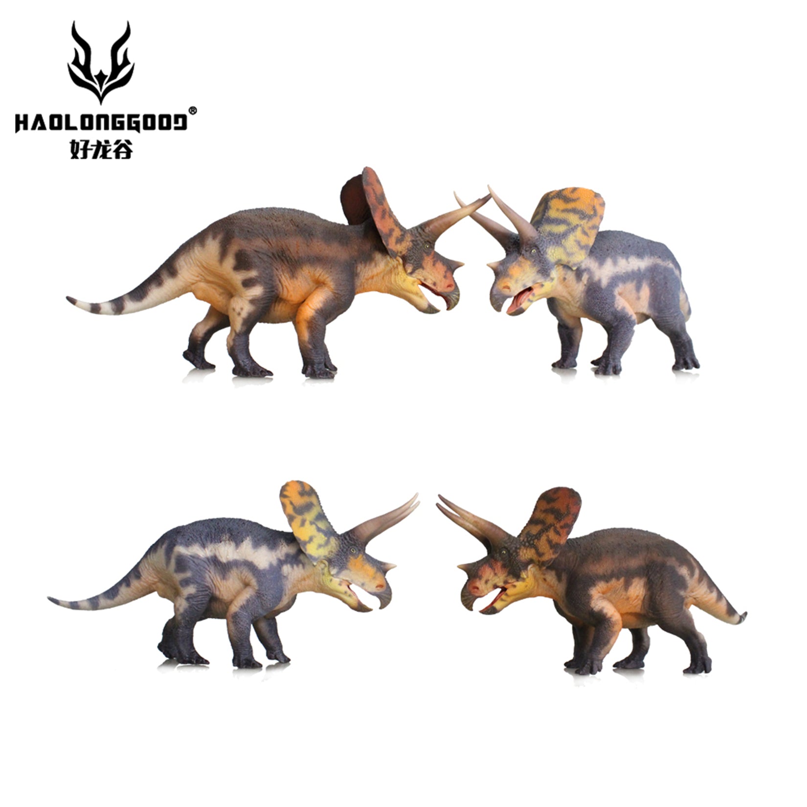 HAOLONGGOOD 1:35 Scale Torosaurus Model