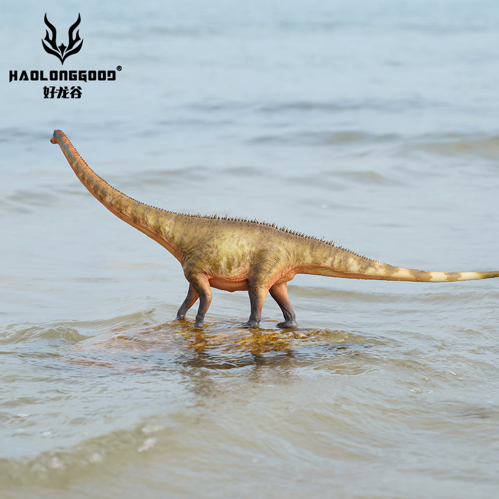 HAOLONGGOOD 1:35 Scale Diplodocus Model