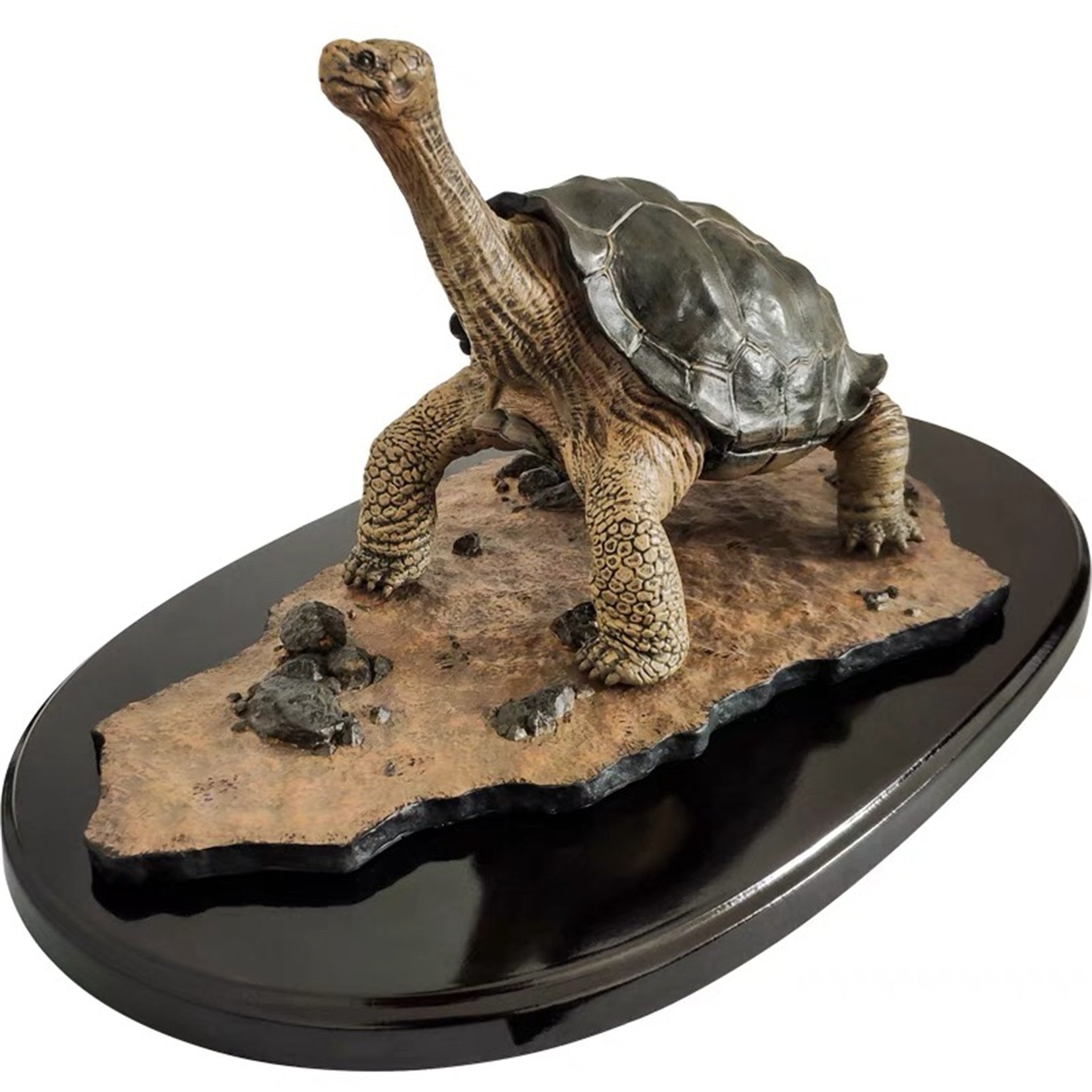 Lonesome George Model