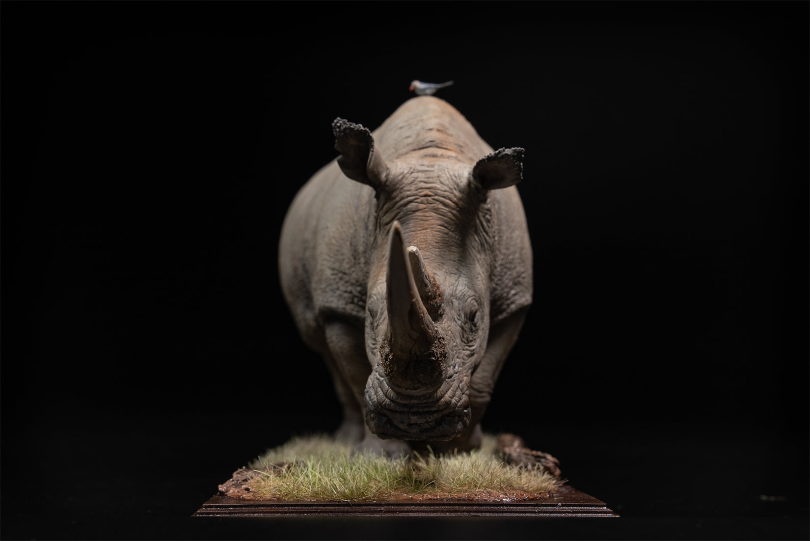 De CLAY Studio White rhinoceros Model