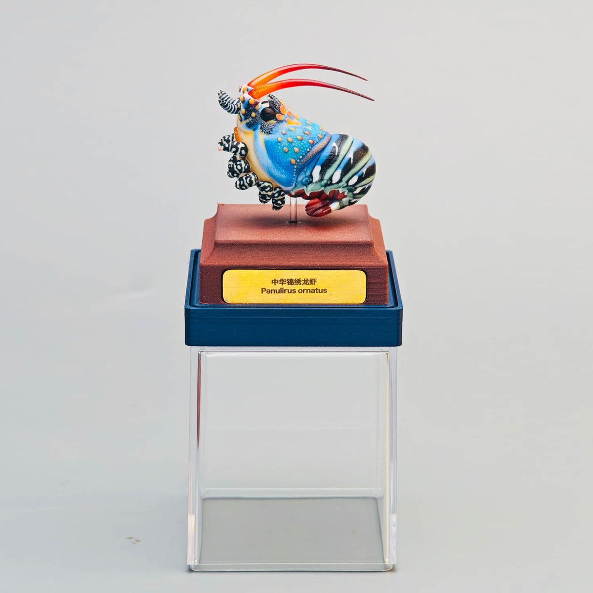 ViVid Studio Ornate Spiny Lobster Model