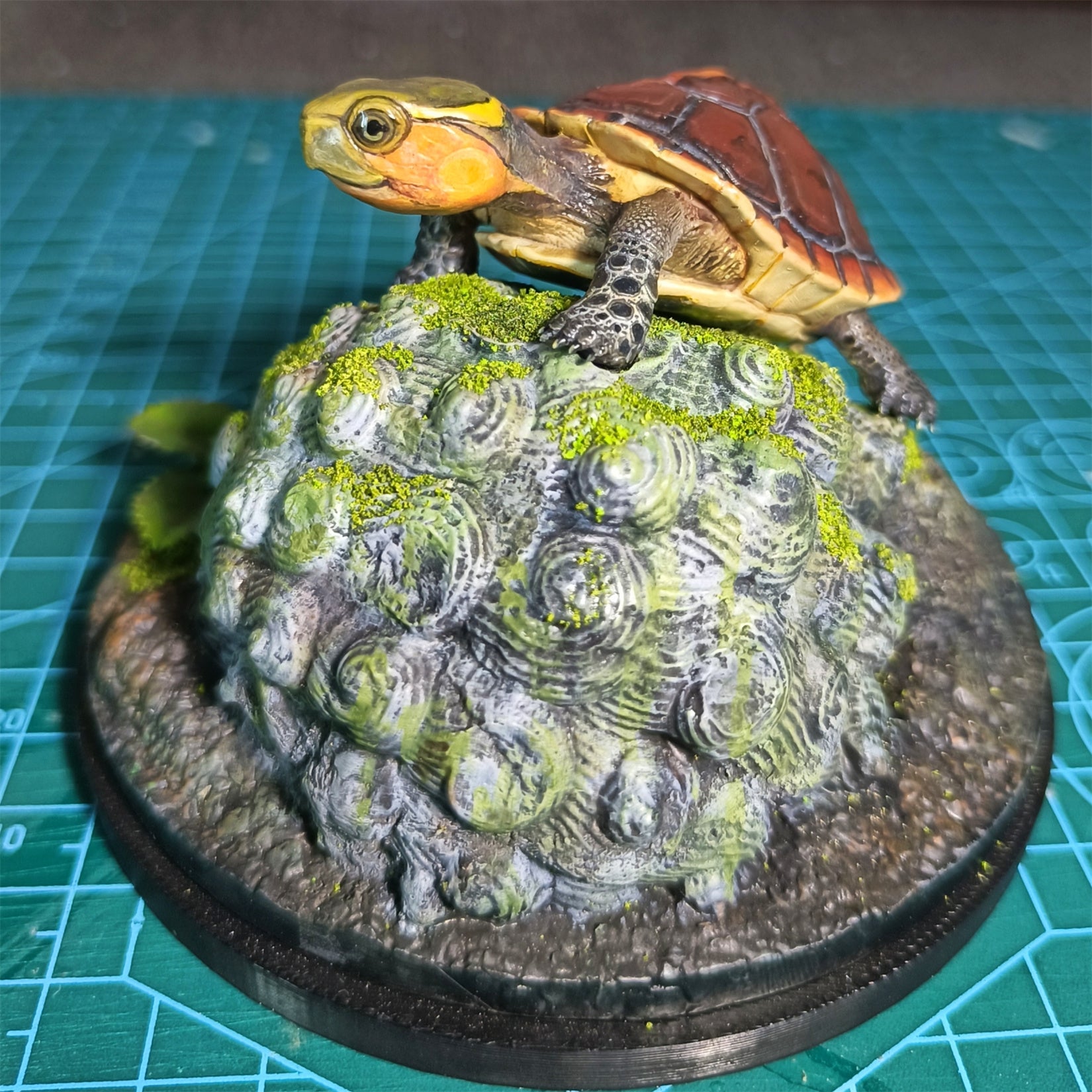 Yellow-margined Box Turtle Baby Model