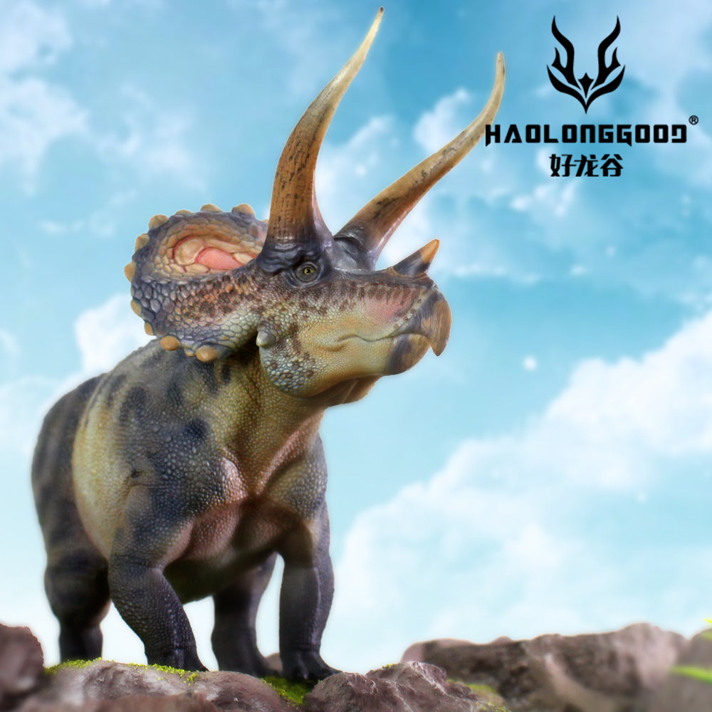 HAOLONGGOOD 1:35 Scale Triceratops Model