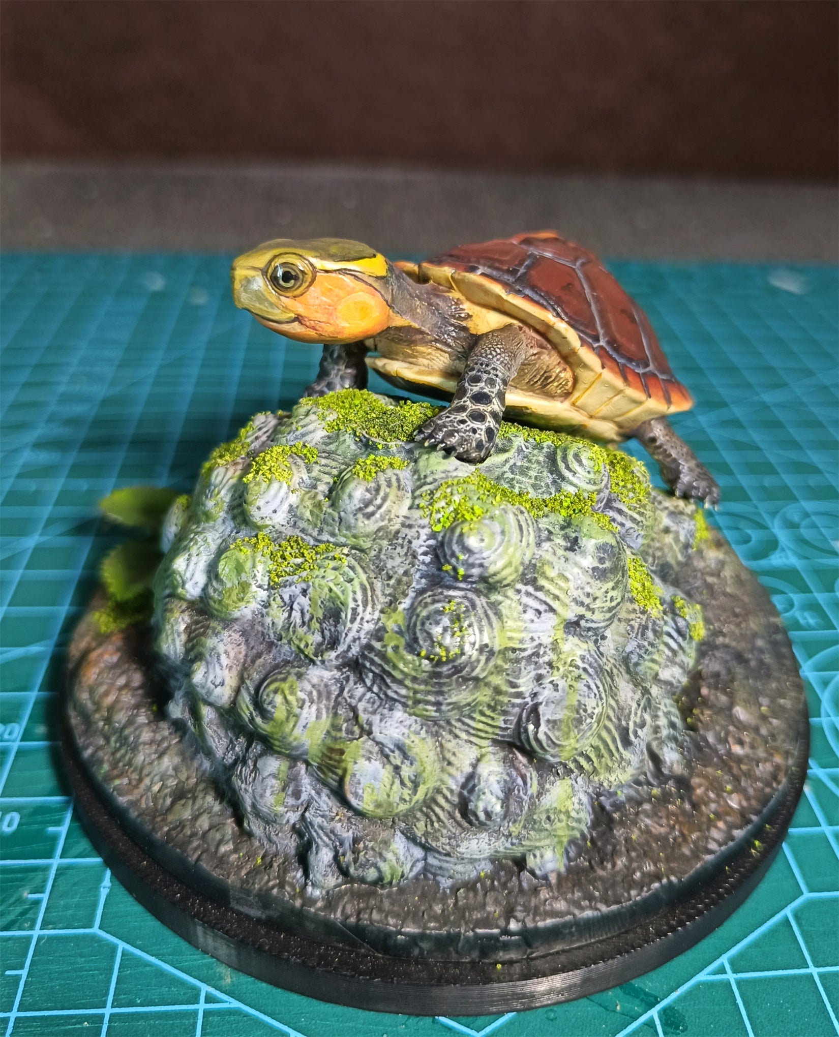 Yellow-margined Box Turtle Baby Model