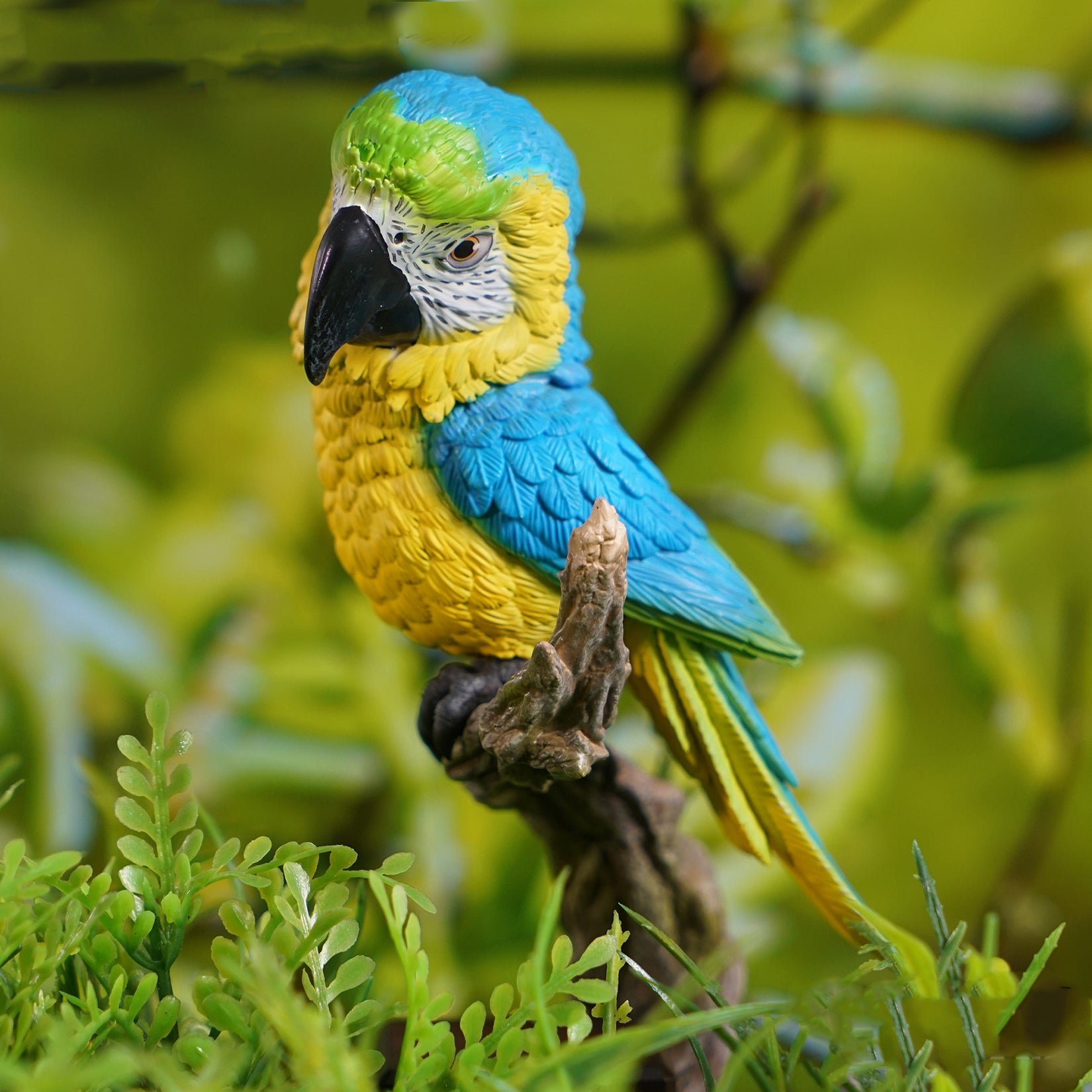 Ara Ararauna & Ara Macao Parrot Model