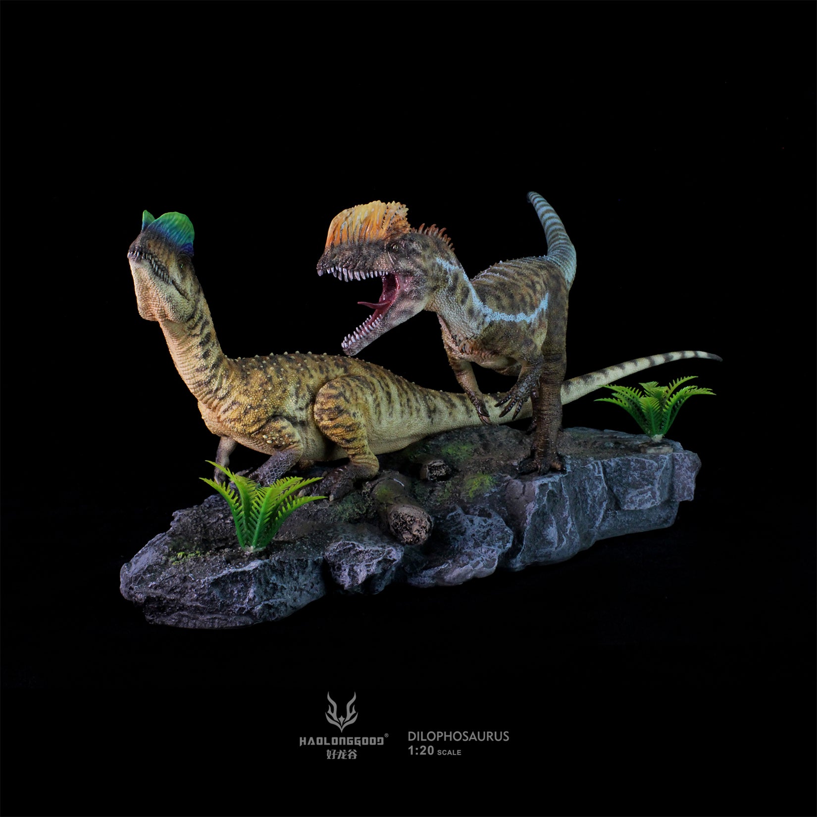 HAOLONGGOOD 1:20 Scale Dilophosaurus Pair Model