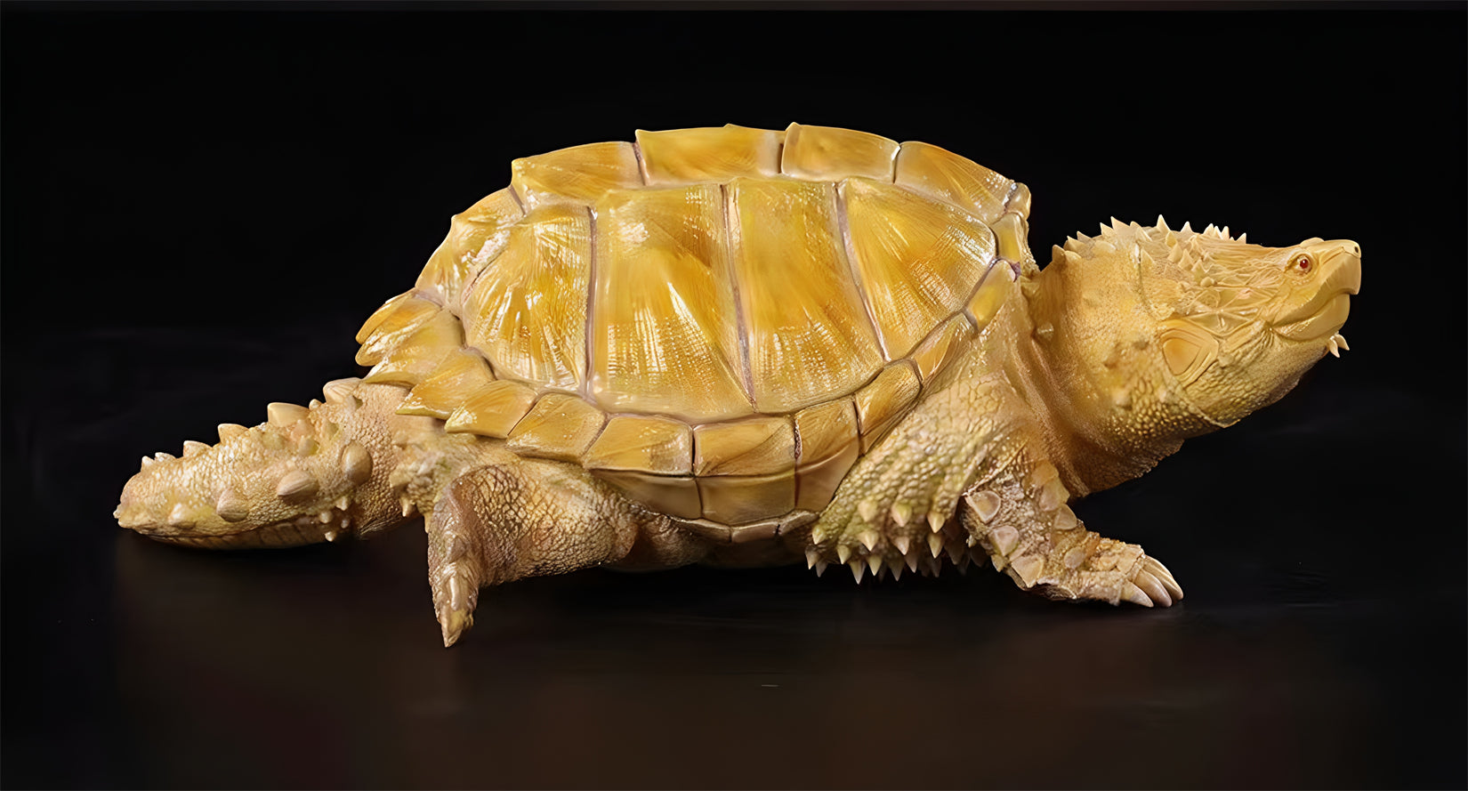 Schildkröten-Serie Tiermodell