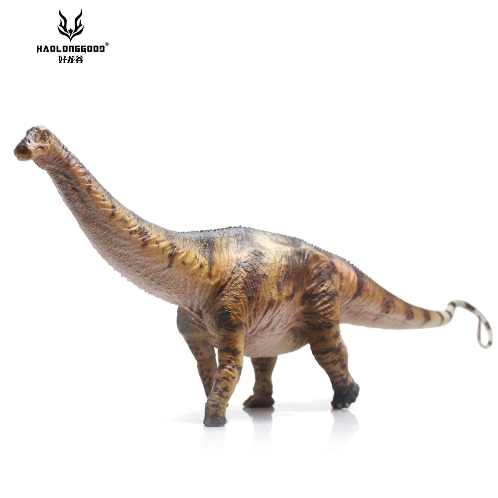 HAOLONGGOOD 1:35 Scale Apatosaurus Model