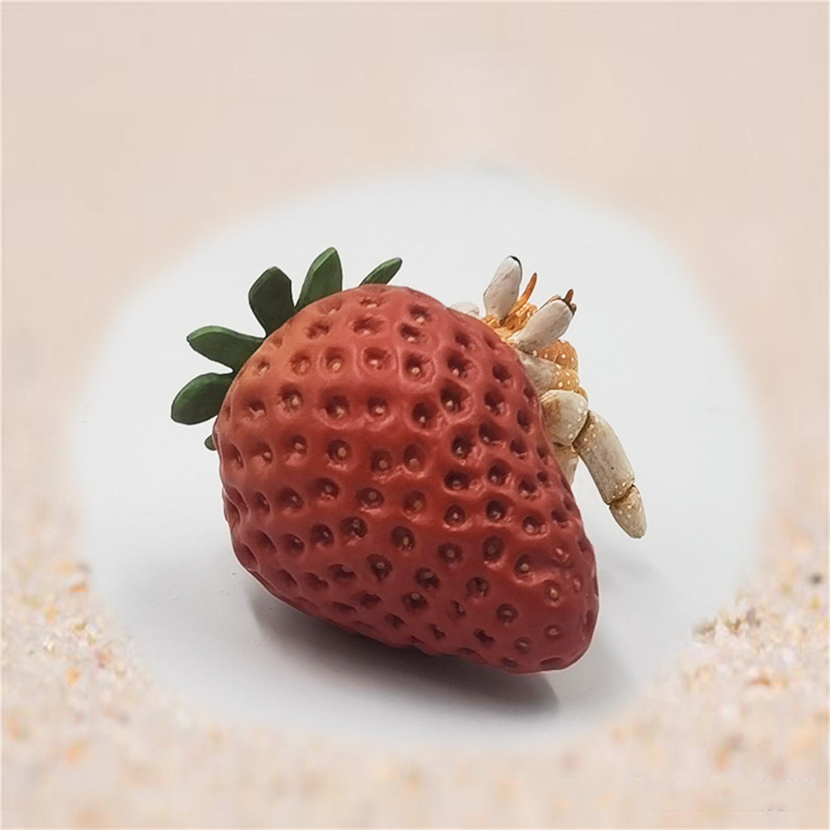 Coenobita Perlatus Model Crab Animal Figure