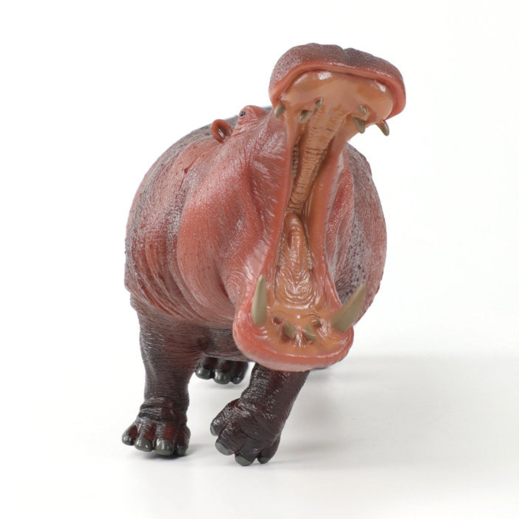 RECUR Hippopotamus Model Animal Figure Collector