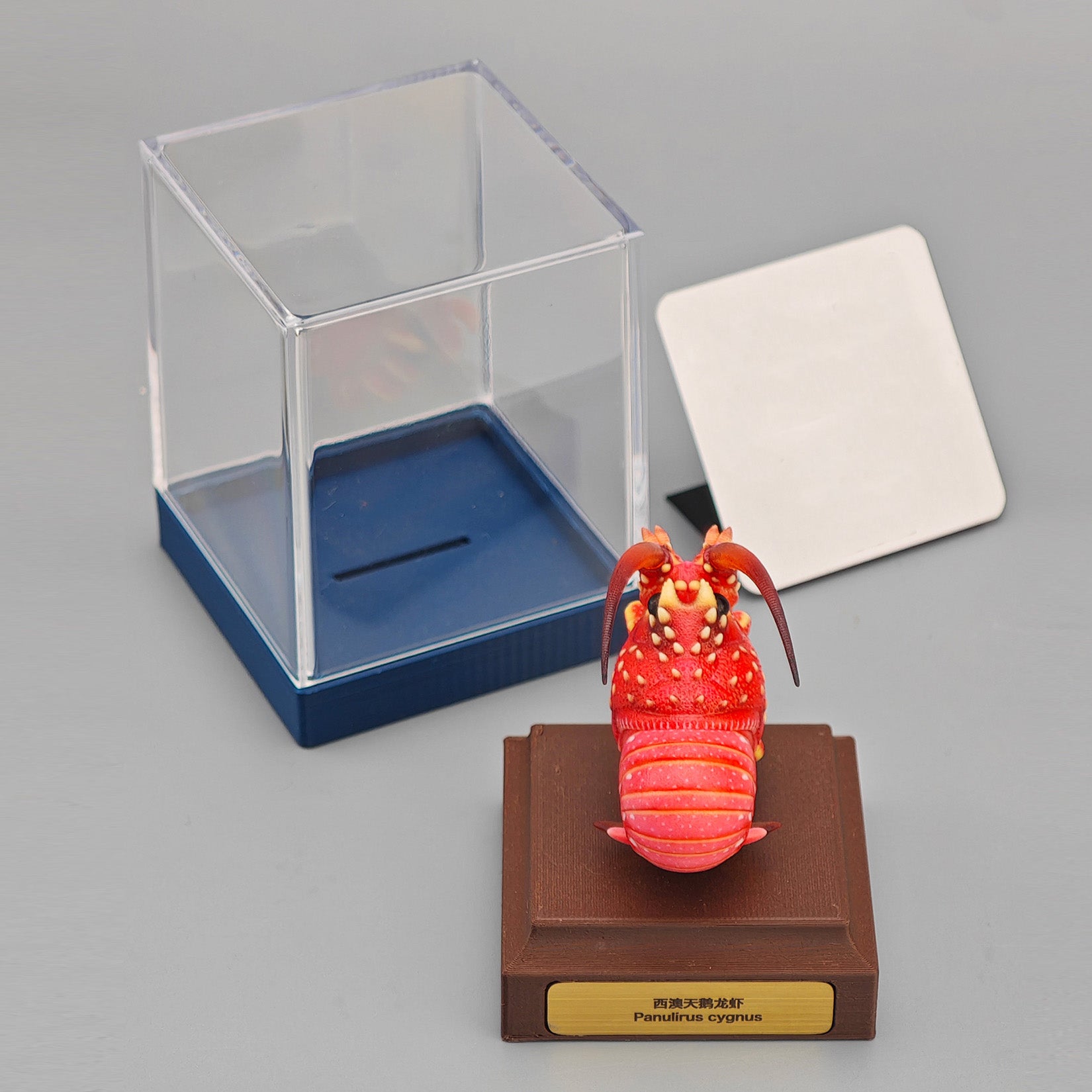ViVid Studio Western Rock Lobster Figure