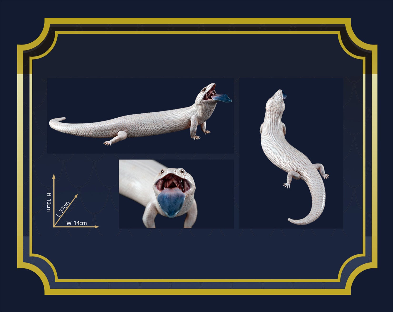 Common Bluetongue Model