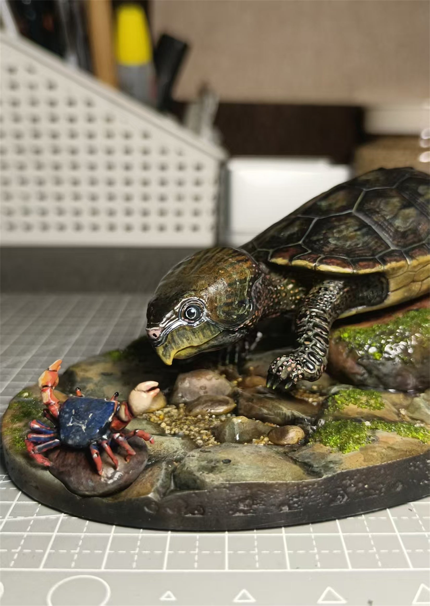Big-headed Turtle Model