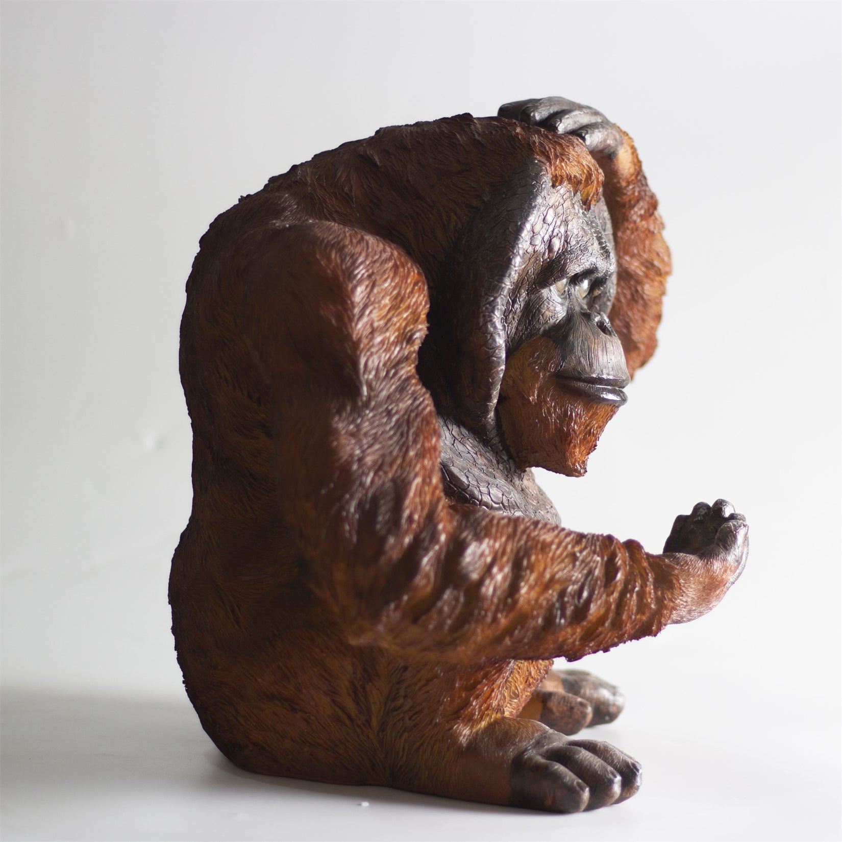 BOWUZHI Studio 1:6 Scale Sumatran Orangutan Model