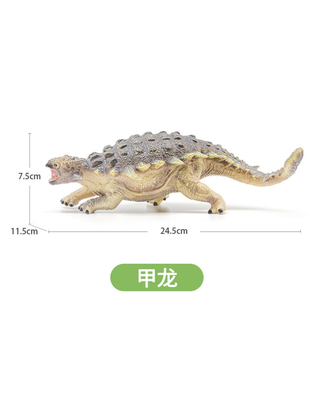 RECUR Ankylosaurus Dinosaur Model