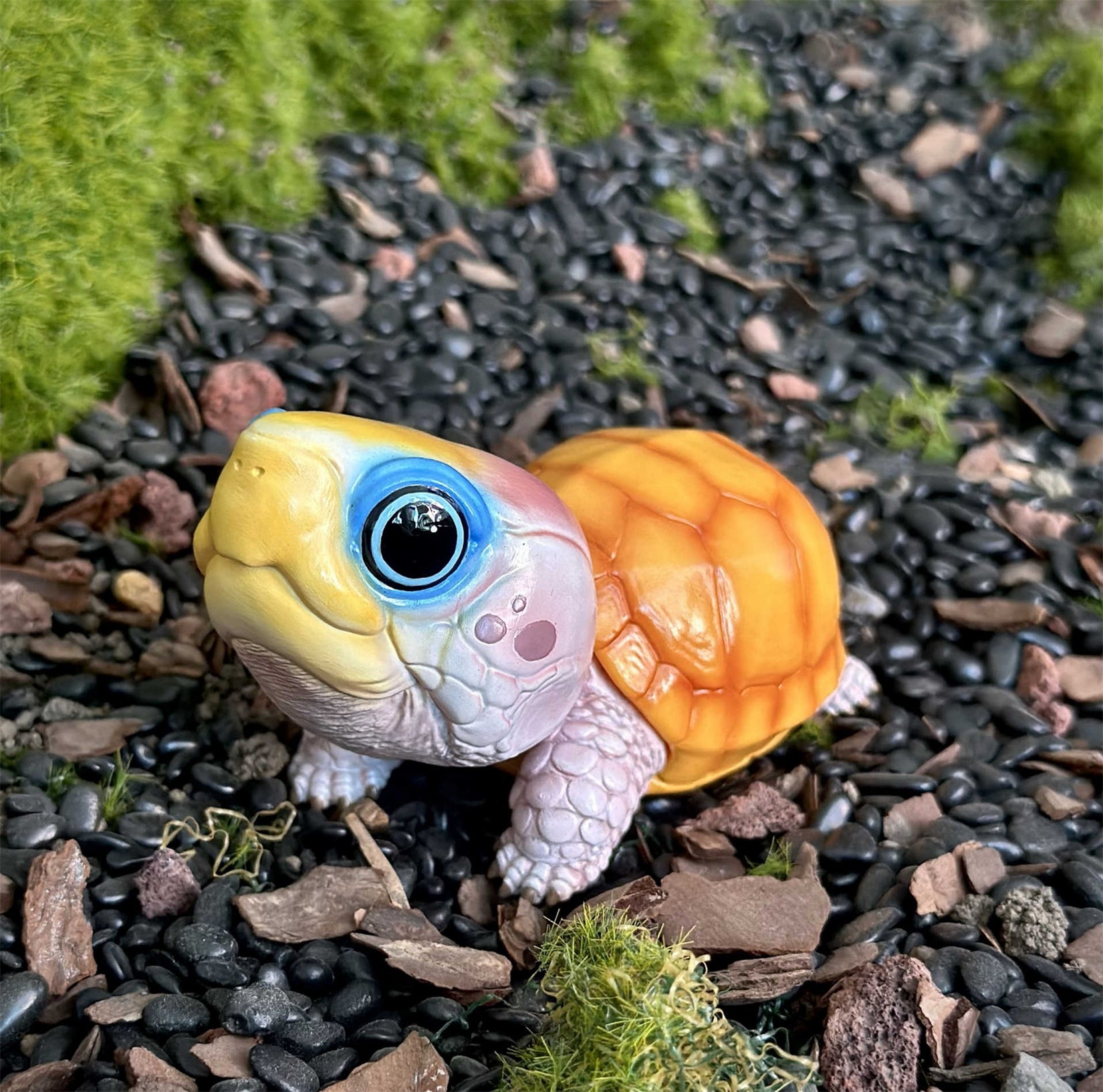 BOWUZHI STUDIO Terrapene Box Turtle Model