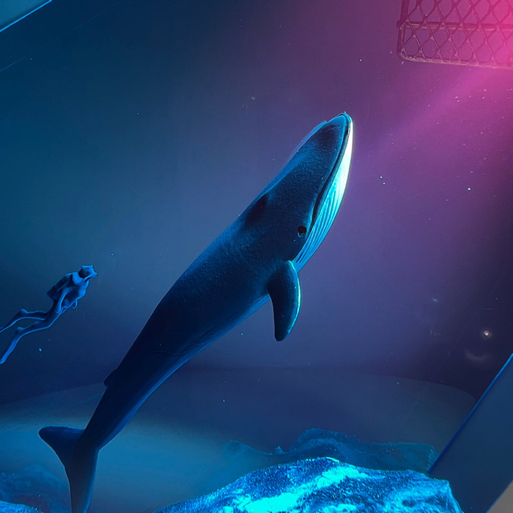 Resin Ocean Lamp Diver Whale Figure