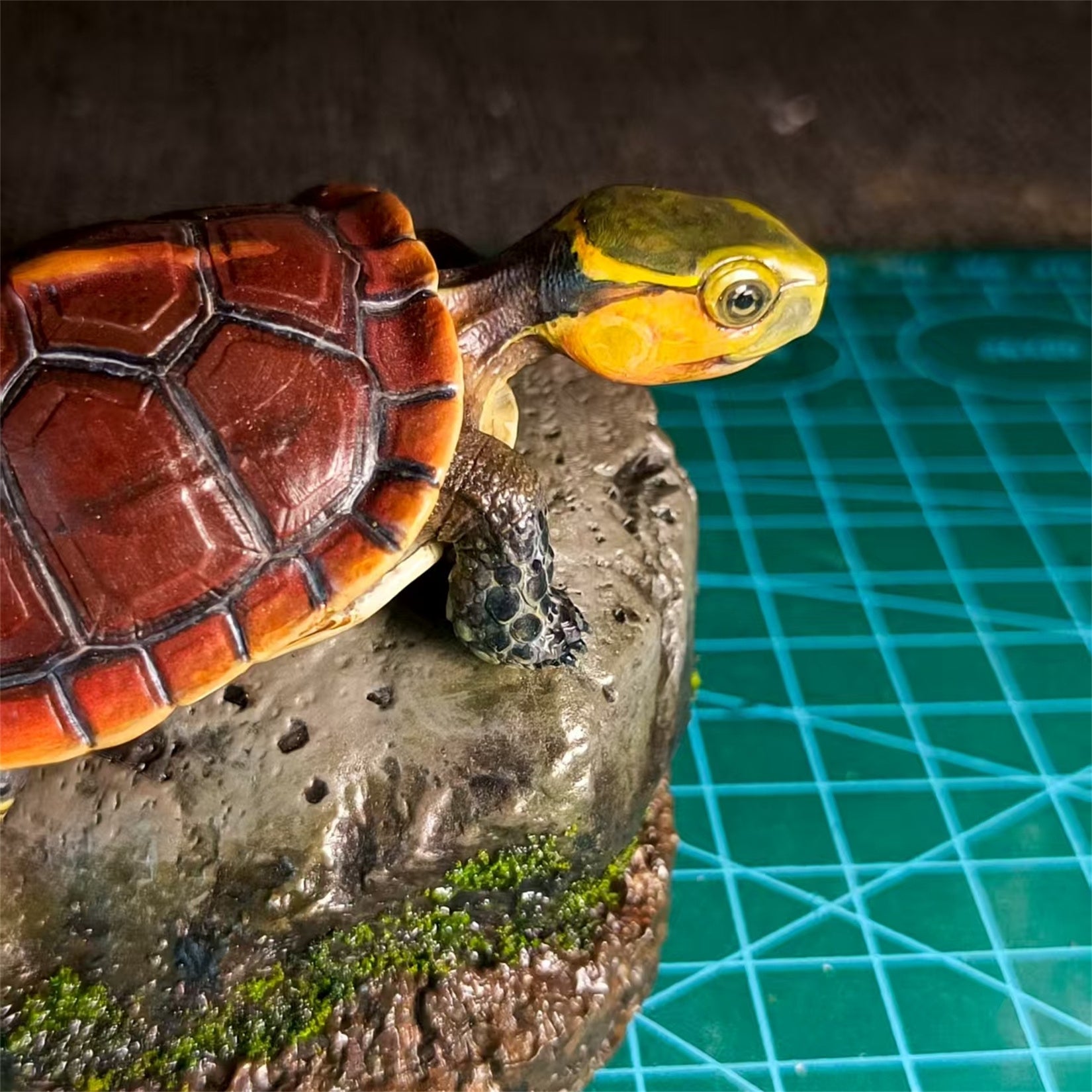 Yellow-margined Box Turtle Baby Scene Decoration