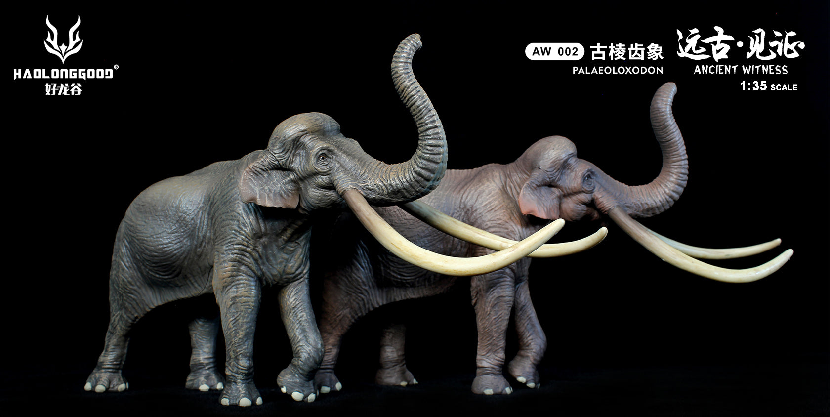 HAOLONGGOOD 1:35 Scale Palaeoloxodon Model