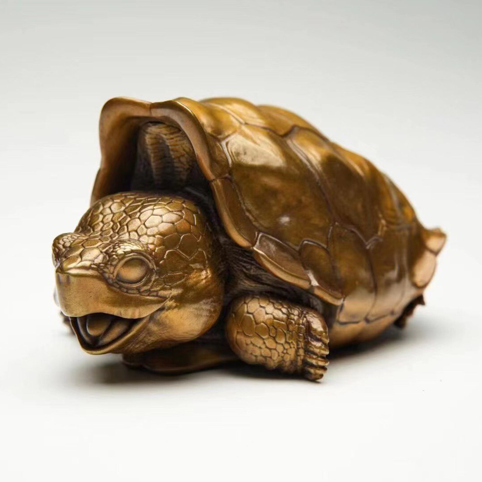 BOWUZHI Studio Chelonoidis Niger Bronze Model