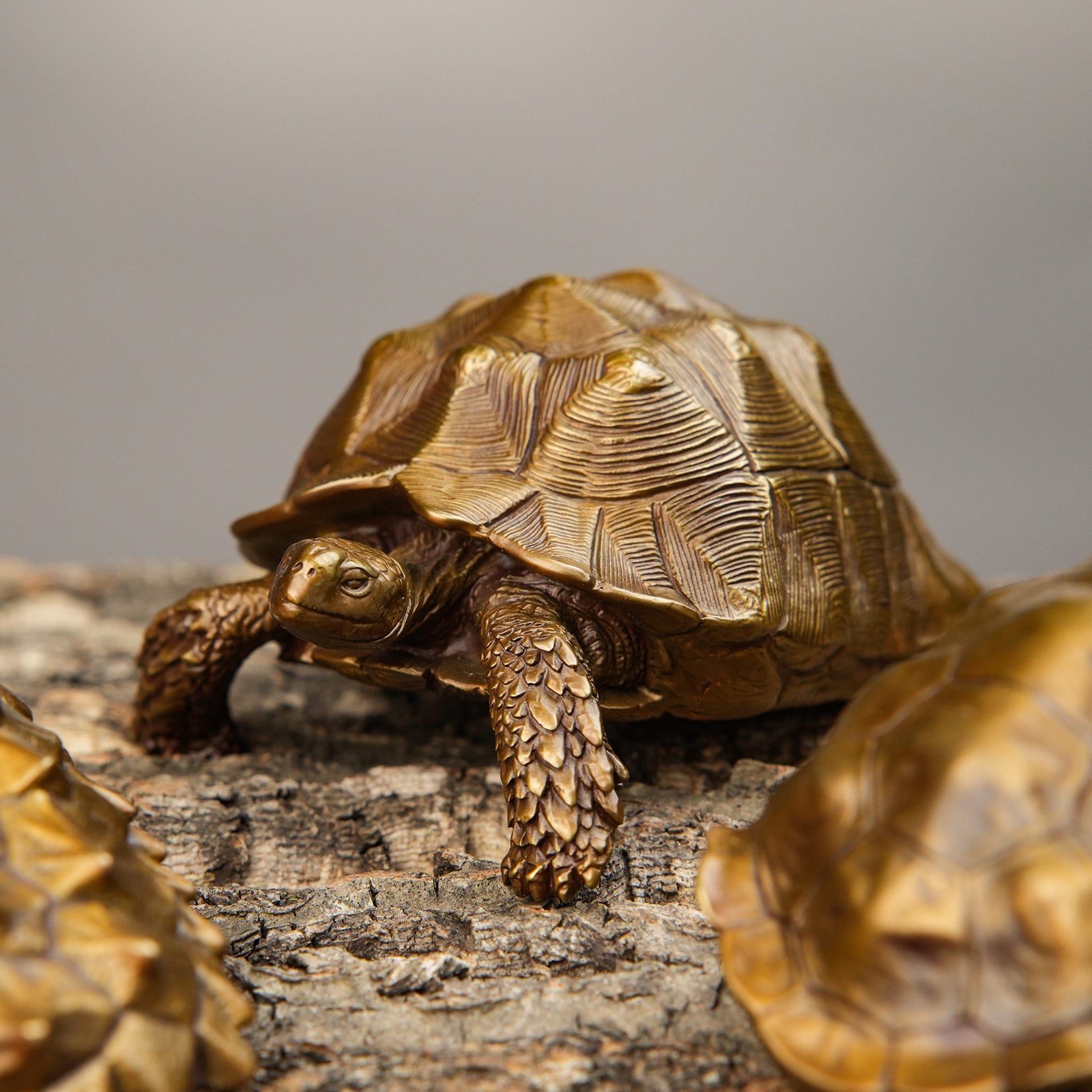 BOWUZHI Studio Sahel Tortoise Bronze Edition Model
