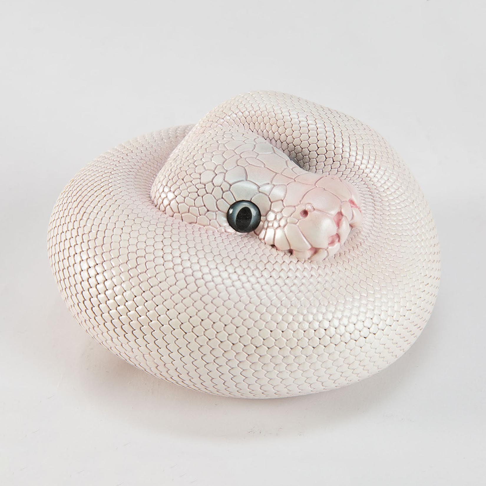 Animal Heavenly Body Plus Ball Python Lucy Model
