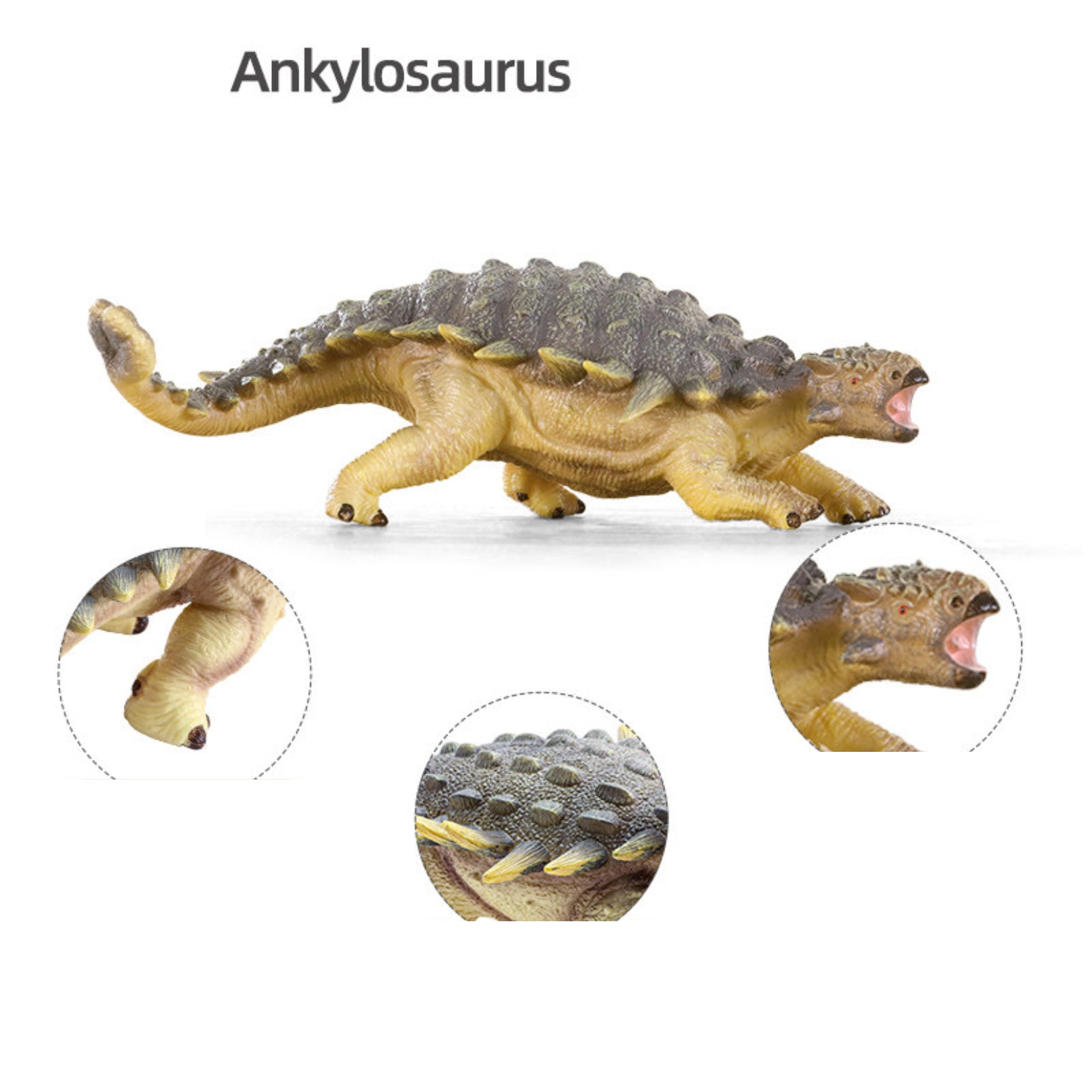 RECUR Ankylosaurus Model