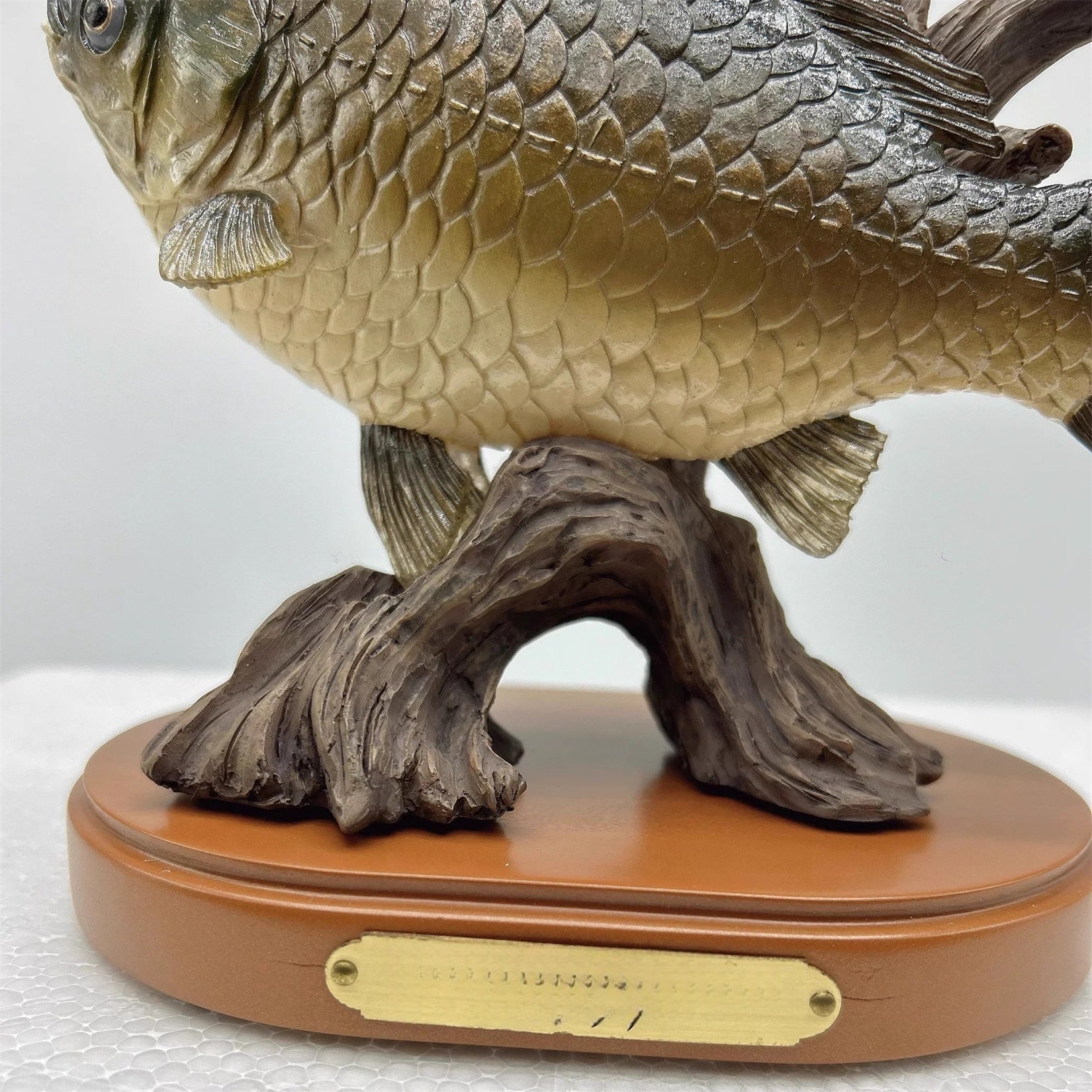 1:2 Scale Common Carp Model Fish Animal Figure Decor