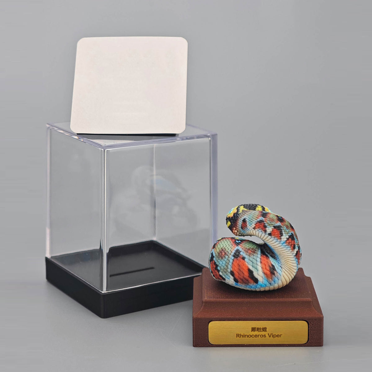 ViVid Studio Rhinoceros Viper & Gaboon Viper Model