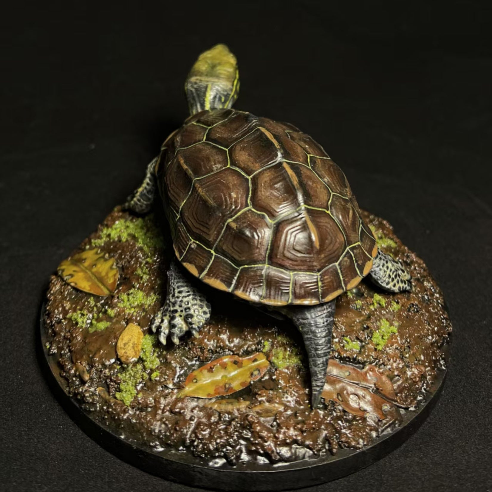 Großköpfiges Schildkrötenmodell