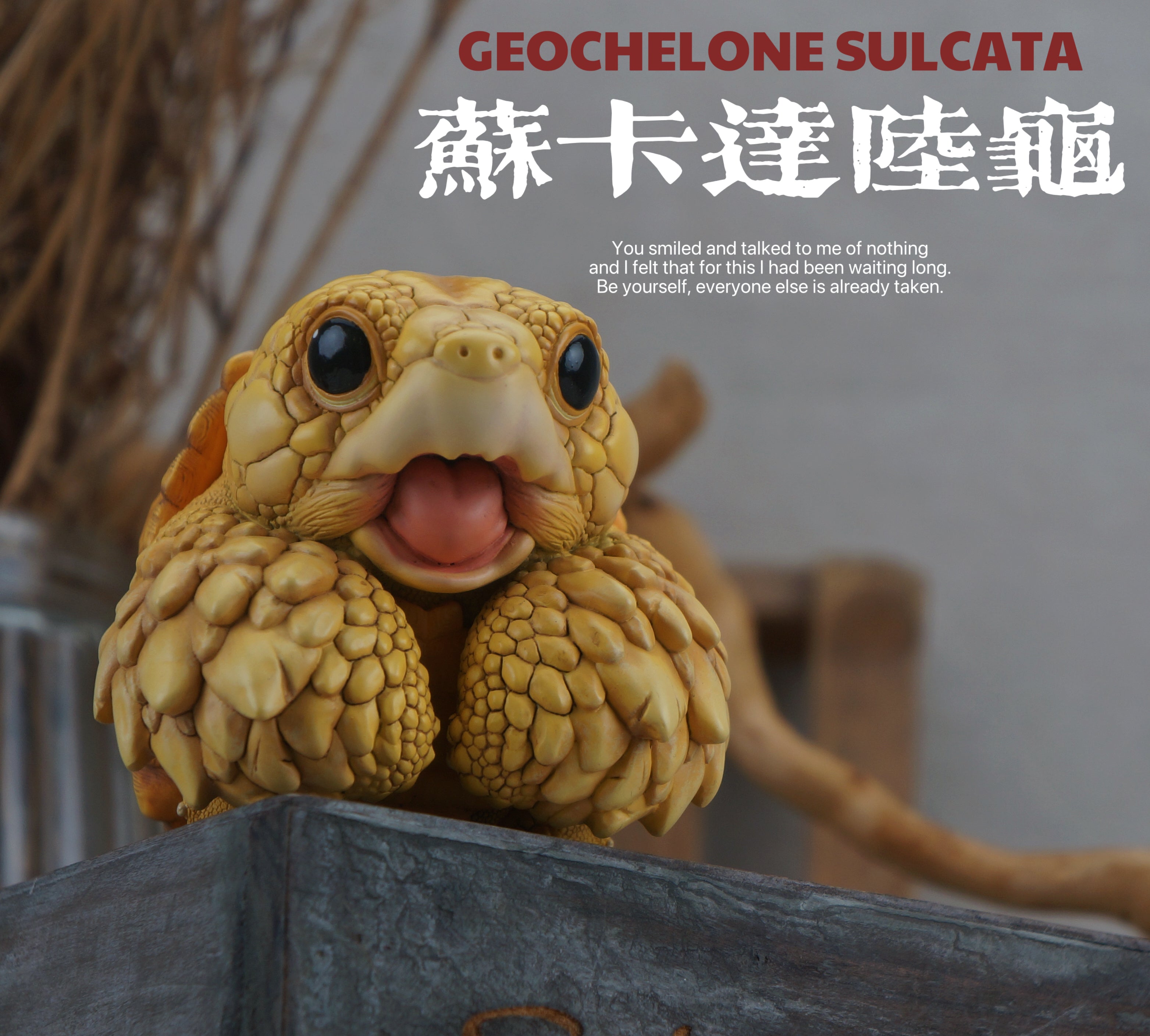 Turtle Model Pet Animal Figure