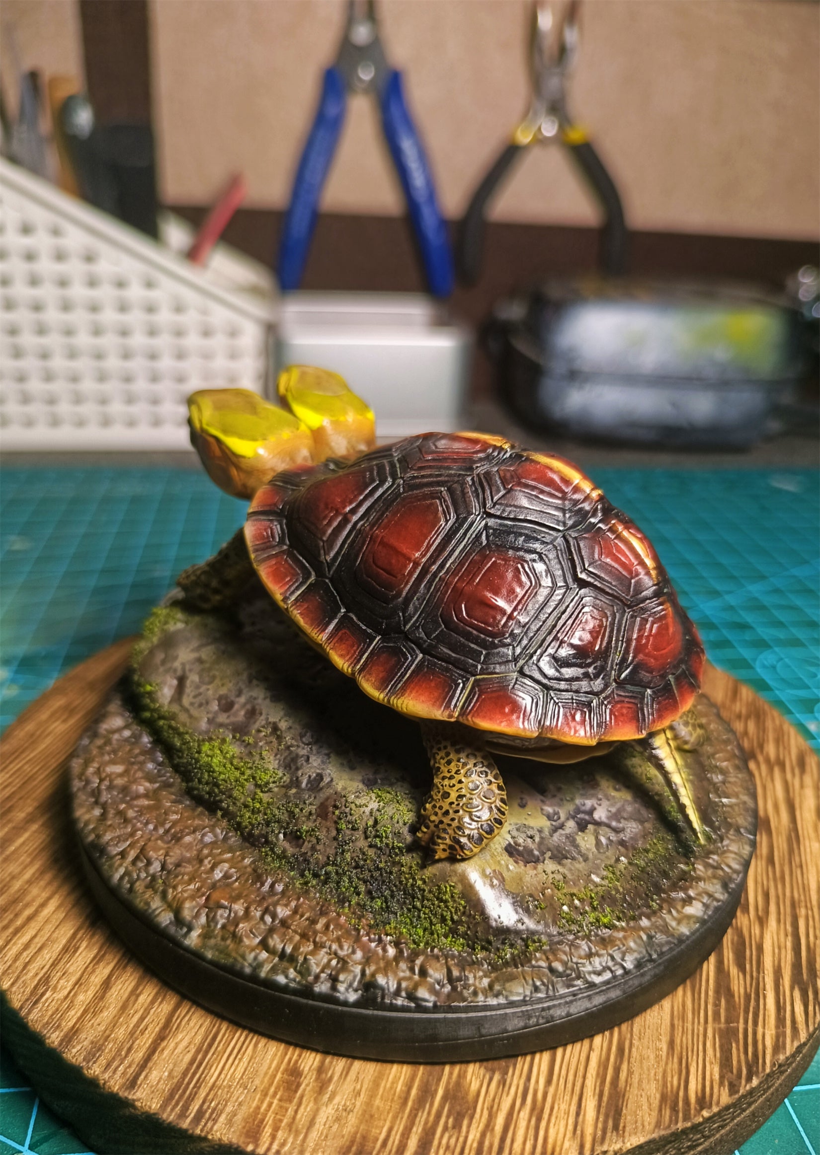 Two-headed Yellow-margined Box Turtle Model