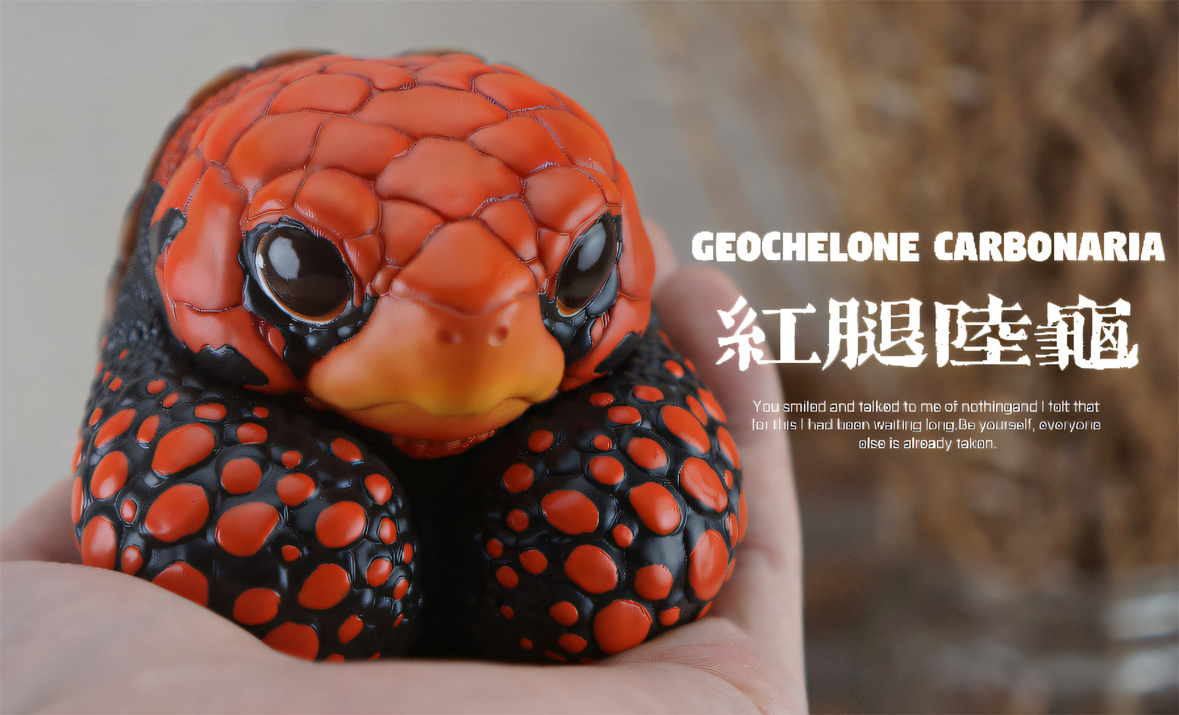 BOWUZHI Studio Geochelone Carbonaria & Chelonoidis Galapagoensis Model