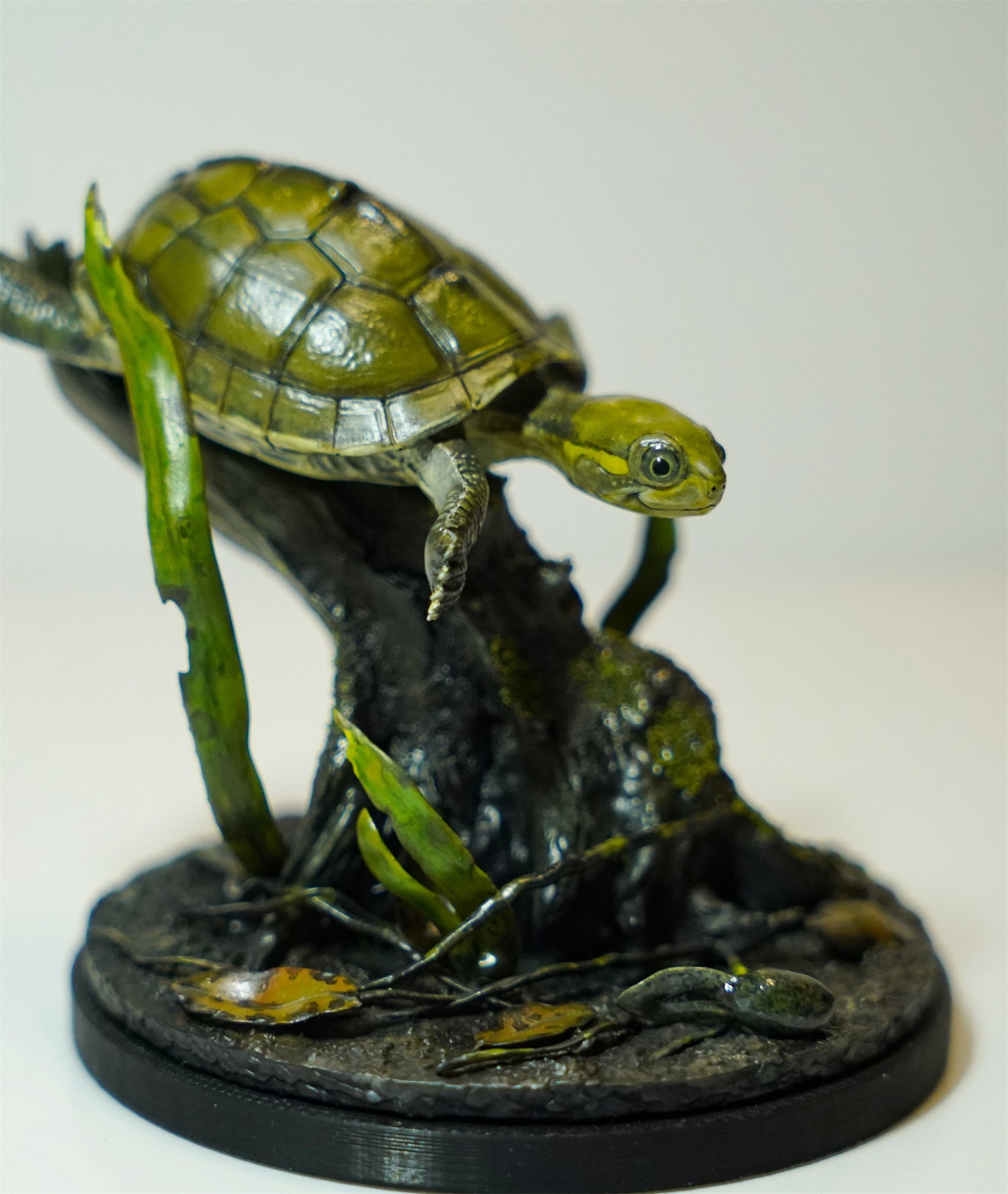 Yellow Pond Turtle Model