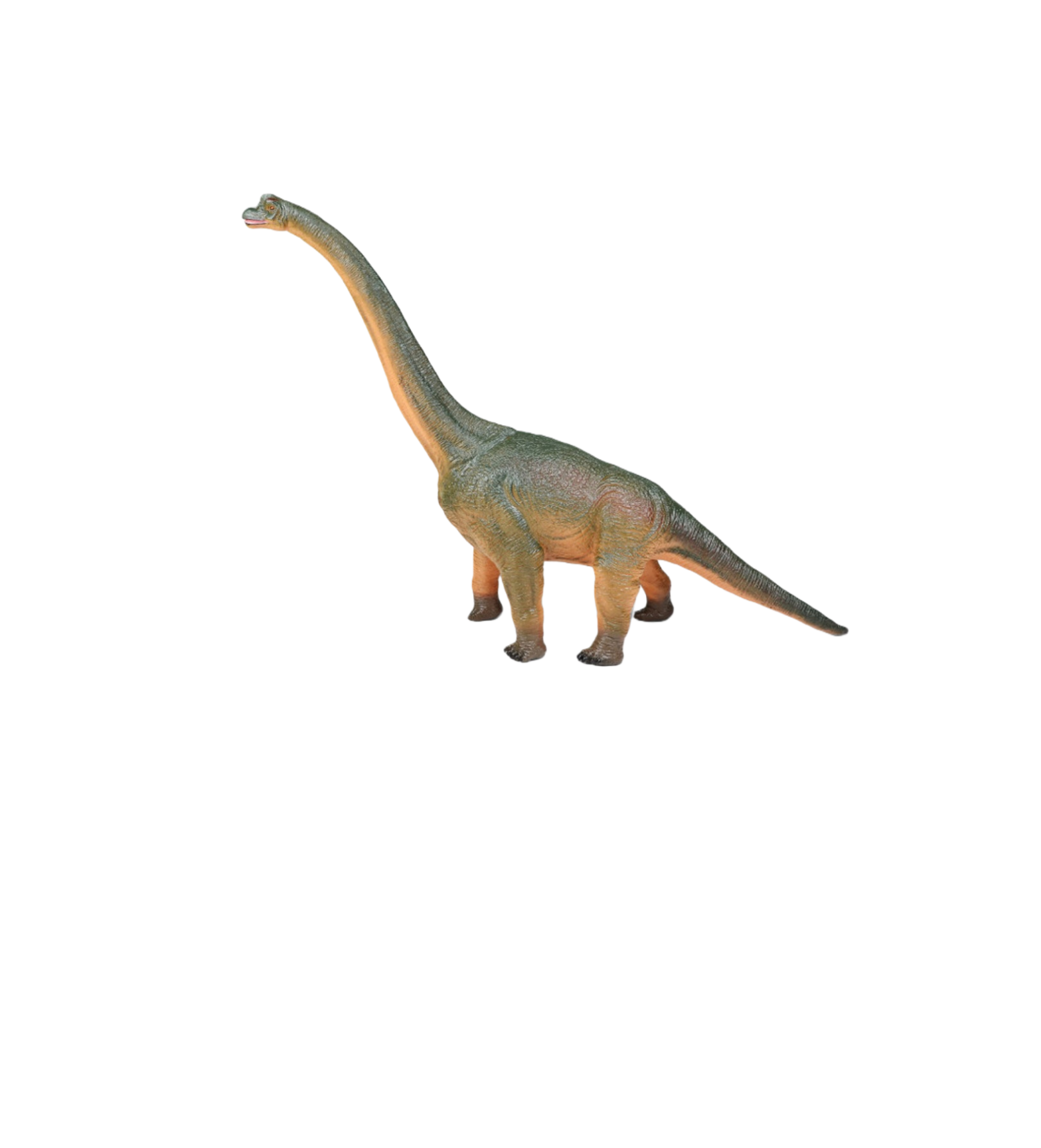 RECUR Brachiosaurus Dinosaur Animal Model