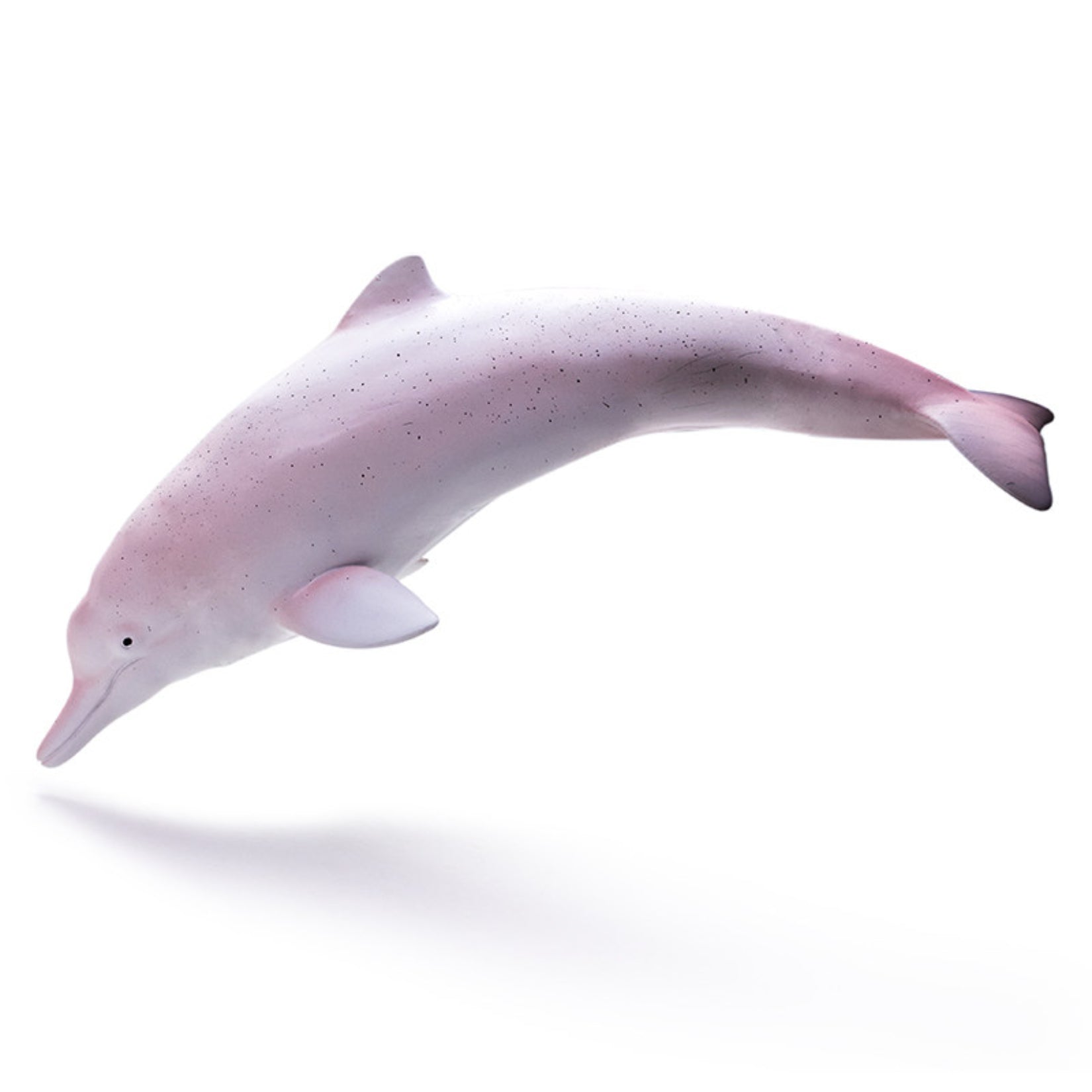 RECUR Dolphin Model Marine Animal