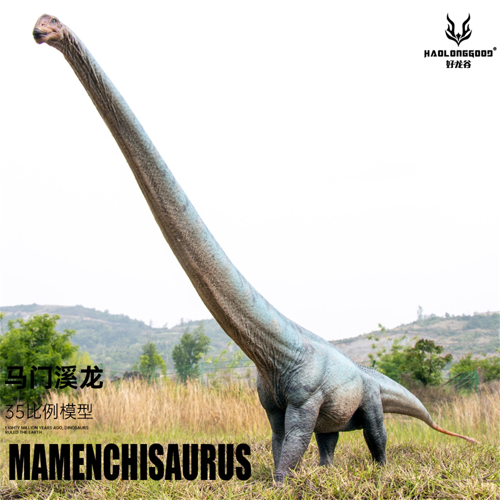 HAOLONGGOOD 1:35 Scale Mamenchisaurus Model