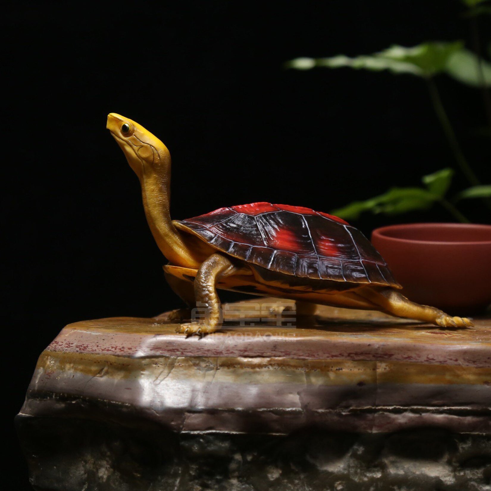 BOWUZHI Studio Cuora Aurocapitata Model