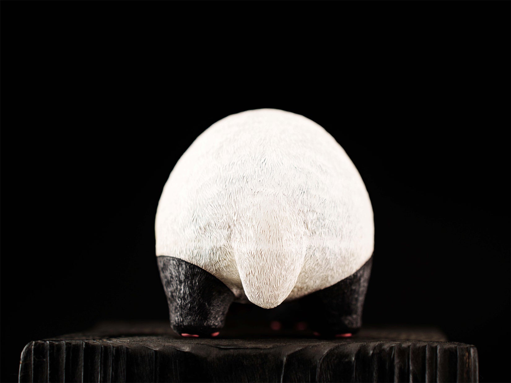 Schildkröten-Serie Tiermodell